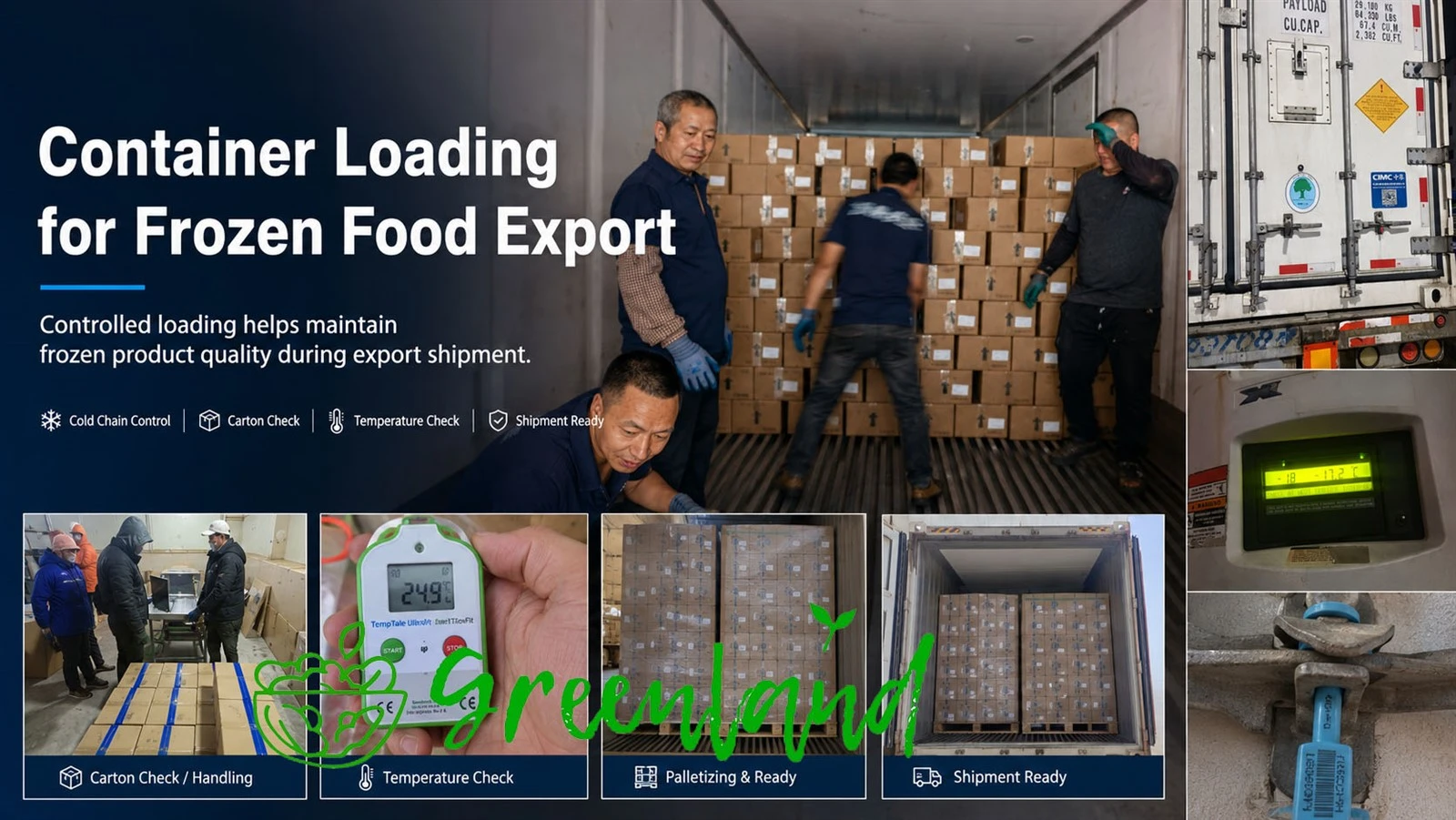 IQF frozen green bean reefer loading control Frozen food cartons loaded into a reefer container with temperature checks